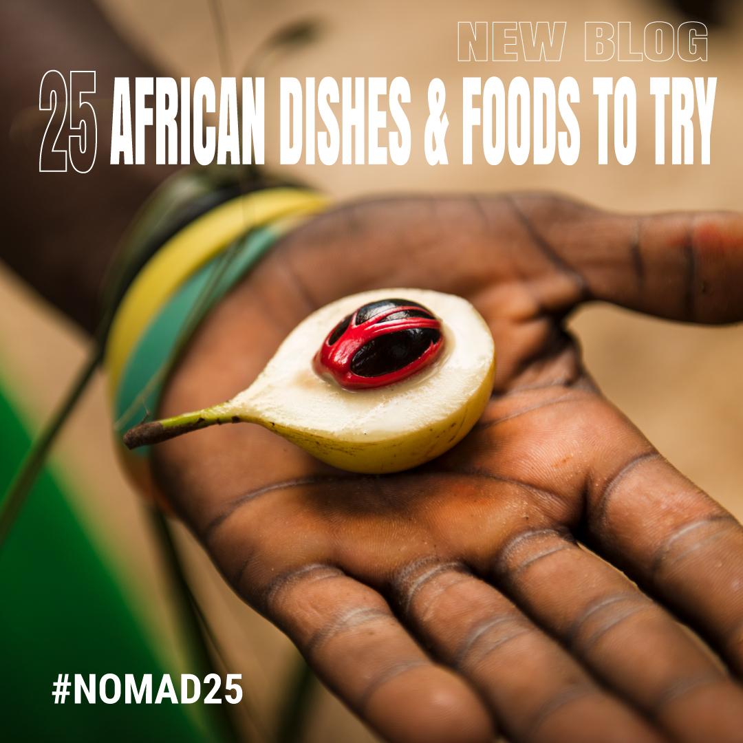 NomadTours's tweet photo. Each country we visit boasts its unique cuisine, which reflect its history, climate, and natural resources. From spicy and flavorful to hearty and grilled, there's something for every taste bud. Here are 25 African Dishes &amp; Foods To Try While On Tour ~> https://t.co/jurtfJMqaQ https://t.co/vujg49jTIU