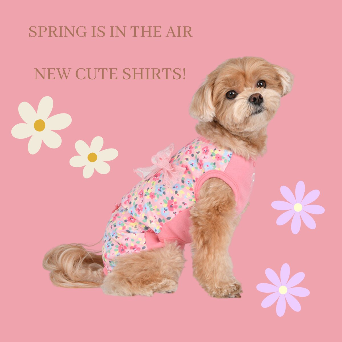DaisyDoo78tx's tweet image. 🐾 Spring has sprung and so have our new collection of dog shirts! 🌸 Our latest arrivals are designed with bright colors and patterns to match the season. Shop now and get your furry friend ready for the season! 🐶🌺 

#springdogs #dogfashion #newarrivals #onlineshop