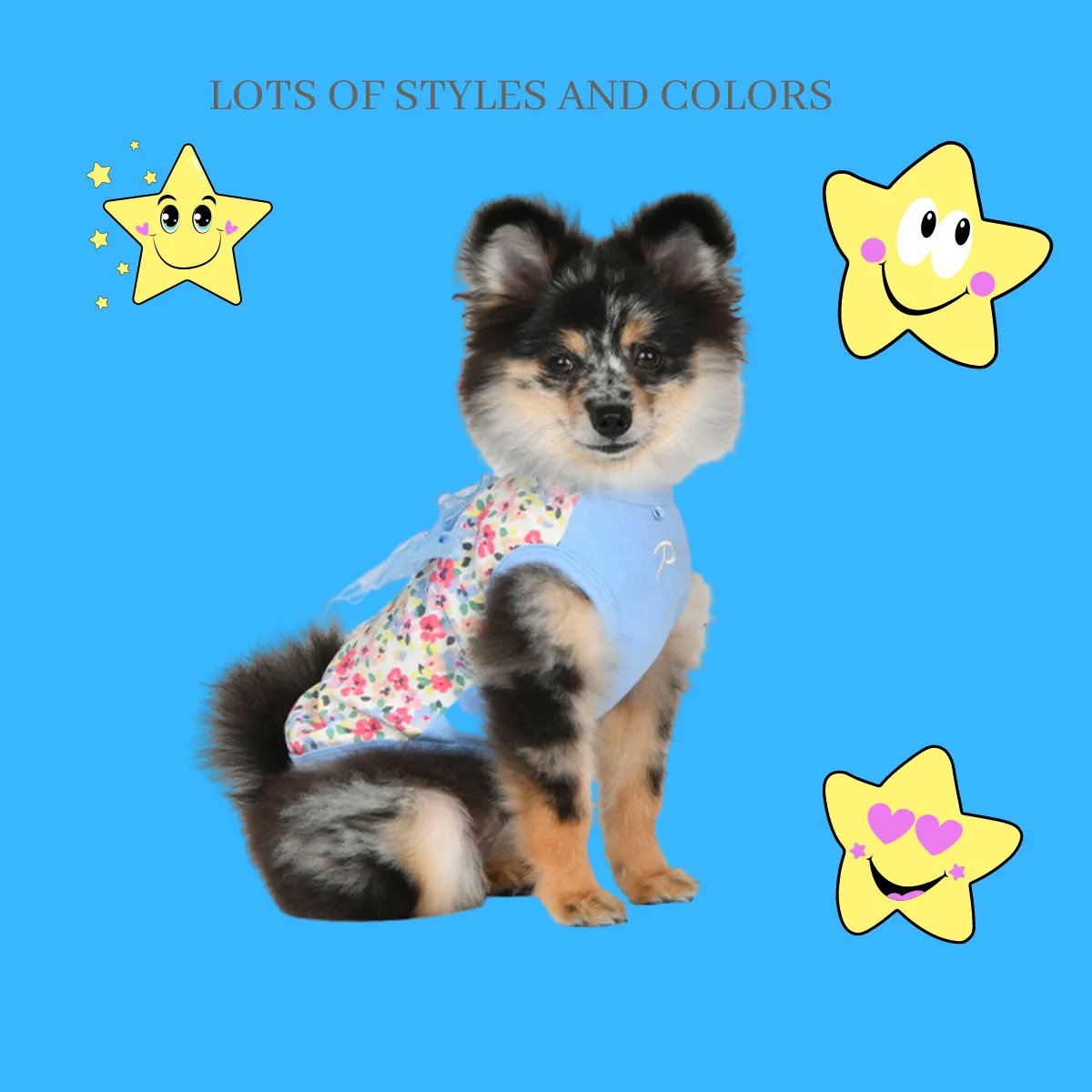 DaisyDoo78tx's tweet image. 🐾 Spring has sprung and so have our new collection of dog shirts! 🌸 Our latest arrivals are designed with bright colors and patterns to match the season. Shop now and get your furry friend ready for the season! 🐶🌺 

#springdogs #dogfashion #newarrivals #onlineshop