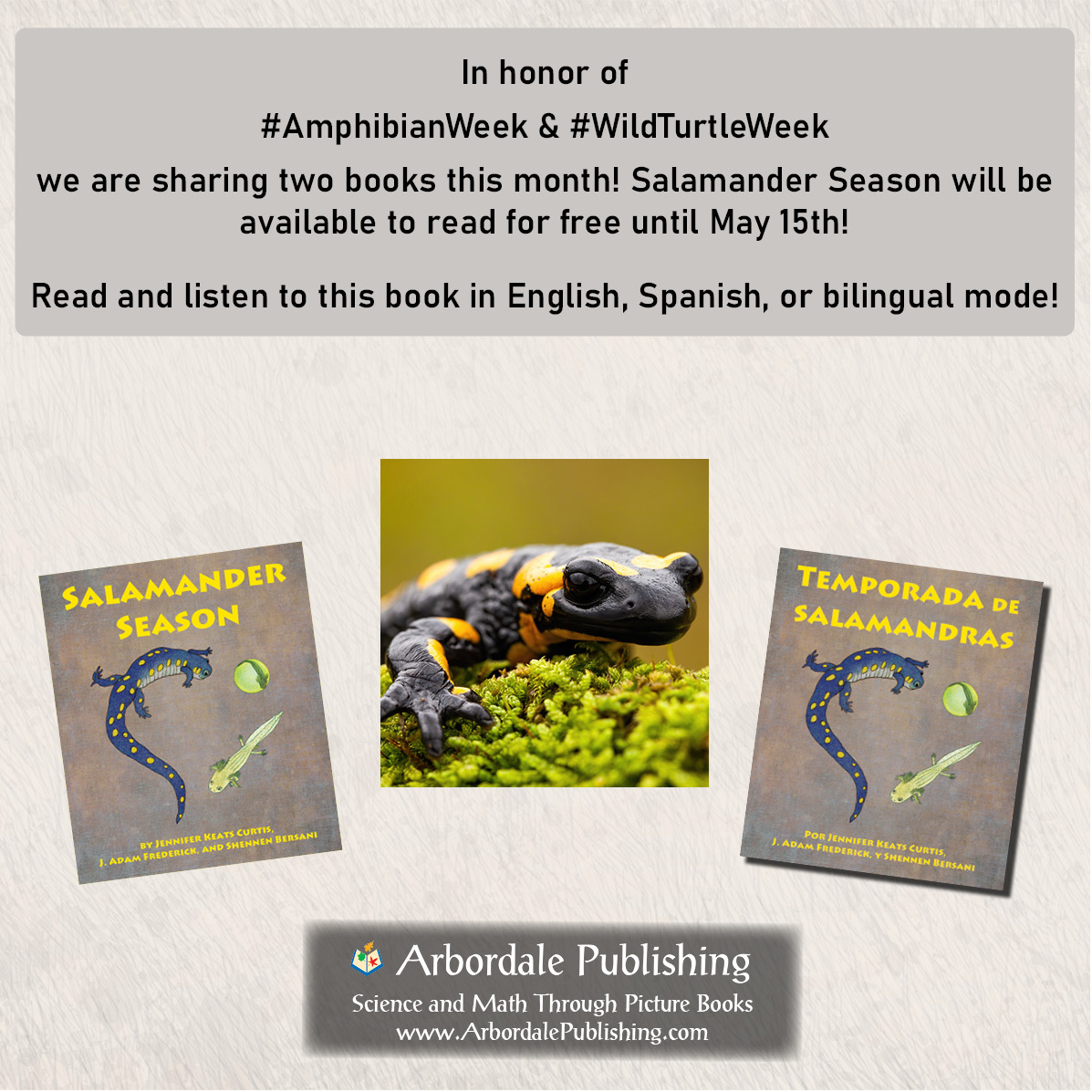 ArbordaleKids's tweet photo. Looking to get kids involved? Read Salamander Season here: https://t.co/7IJmiO9ShO @PARCorg @fishwildlife @NEPARC @SEPARC @MWPARC @herpetALLogy @amphibiansorg @amphibianfound @arcprotects @FCSalamanders @ASG_IUCN #AmphibianWeek #AmphibianWeek #SalamanderScience https://t.co/xeRCkgjCGr