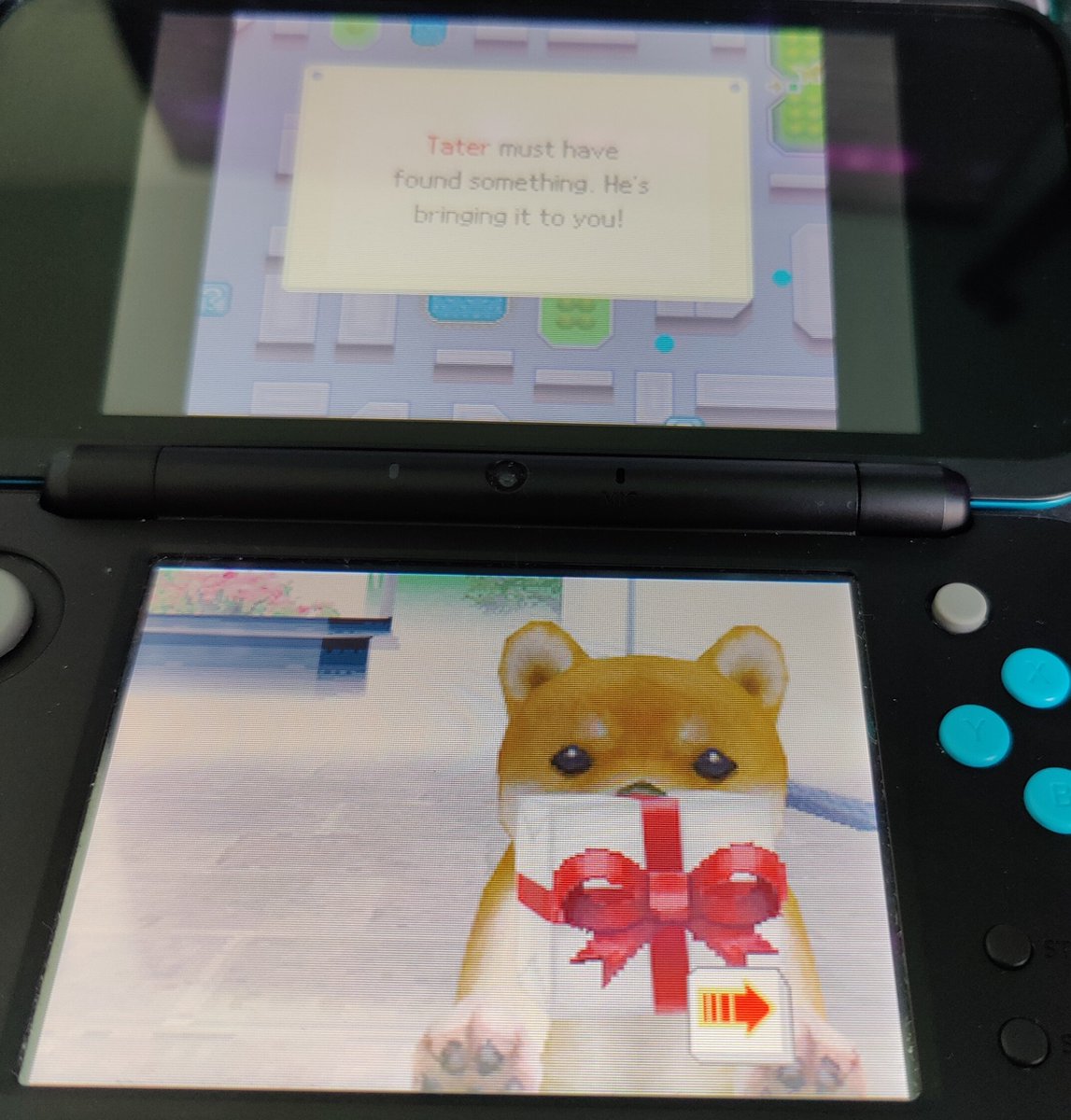 Simply_Press's tweet image. I'd really love a new Nintendogs game 🐶