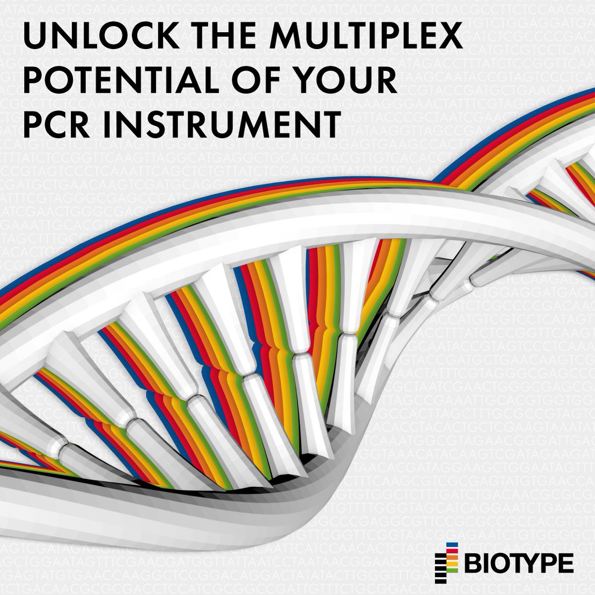BiotypeDx's tweet photo. Are you ready to unlock the full potential of your PCR instrument?
Contact Jens Frerichs to learn more about our Multiplex Assay Development Service: b2b@biotype.de
#CDMO #multiplexPCR #assaydevelopment https://t.co/zybUk4gE8B