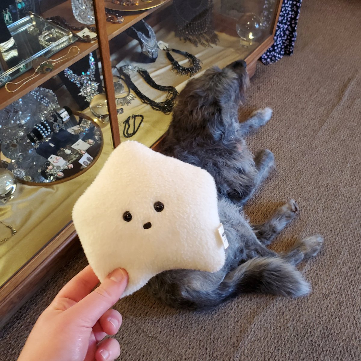 sucklet7's tweet photo. i met a furry beast. it was very kind.
#sucklet. #beastlet. #friendlet. https://t.co/LkJiPdfGn2