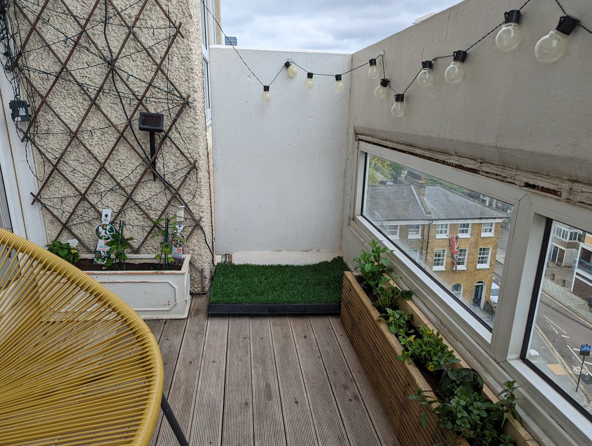 CptExtravagant's tweet photo. Spent this morning sorting out the balcony and picking up a new hobby, feeling hopeful with this one 🤞 https://t.co/woxcYzr2g6