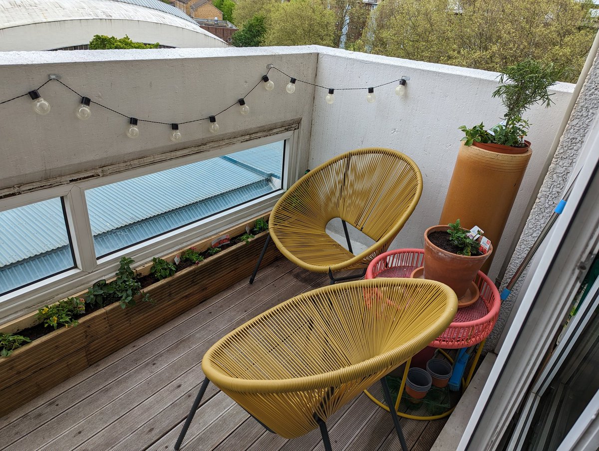 CptExtravagant's tweet photo. Spent this morning sorting out the balcony and picking up a new hobby, feeling hopeful with this one 🤞 https://t.co/woxcYzr2g6