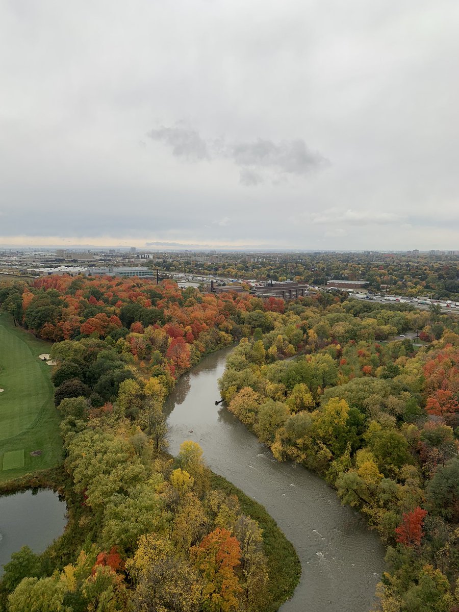 Abbas 🌿✌️ tweet media