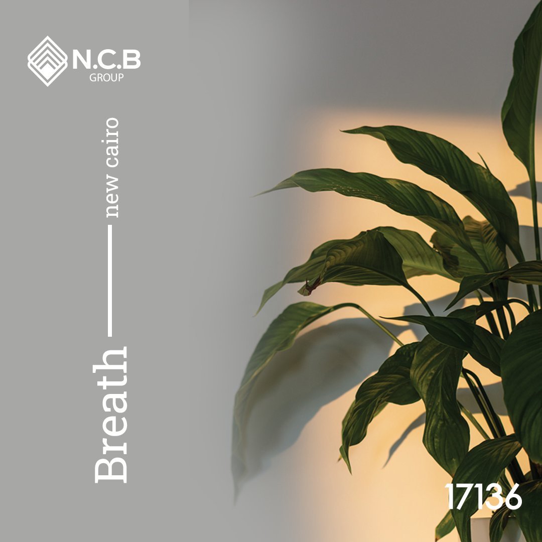 DevelopmentsNcb's tweet photo. Breathe..

Breathe in the fresh air of luxury living at our new residential compound in New Cairo, Dare to dream and live the life you deserve.

#DreamLiveBreathe
#NewCairo
#NewLaunch https://t.co/7m2UUYBnM6