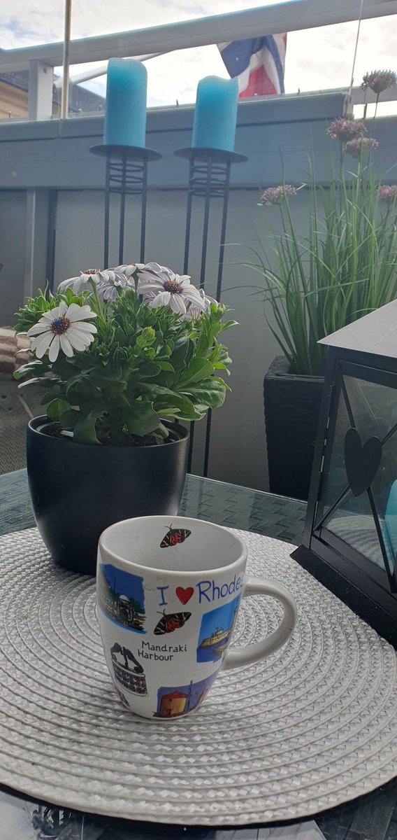 hoeggen's tweet image. Vi feirer 78 år i frihet fra tysk okkupasjon med å klargjøre terassen for sommeren 🇧🇻 Mari-pus sjekker at æ har vaska under teppet hennes 😁 Ha en flott 8.mai! 🇧🇻🌹🇧🇻 #8mai #LiberationDay #springfeeling #CatsOnTwitter #CatsAreFamily