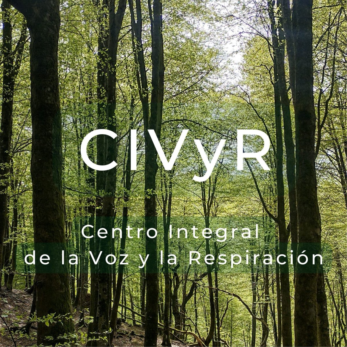 civyrbaztan's tweet photo. Iniciando los trabajos para la nueva sede del Centro Integral de la Voz y la Respiración, que va a ubicarse en uno de los principales pulmones de Europa: el valle de Baztán. Alegría y emoción a flor de piel. 🤍
More news soon! 
#yourvoicematters #breathingislife https://t.co/Vi8fhgImPE