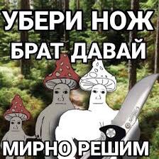 Славочка tweet media