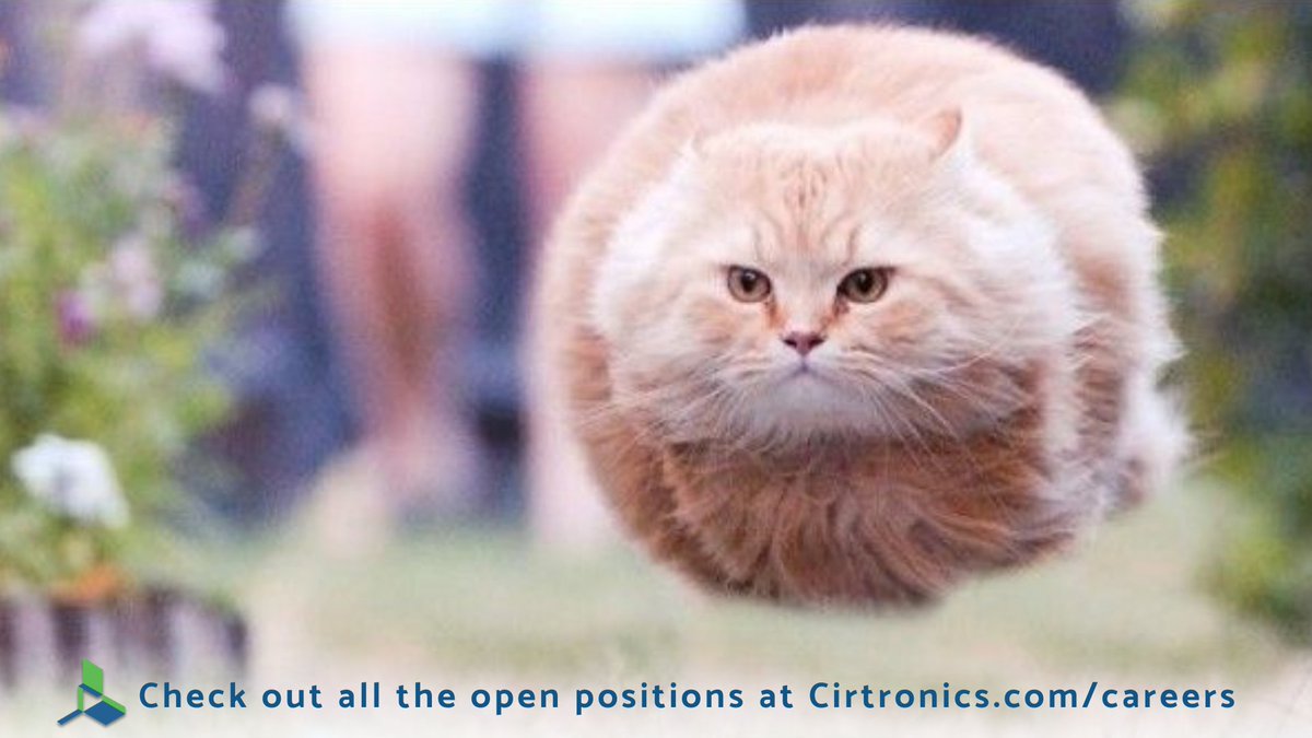 Cirtronics's tweet photo. Zooming into the week and straight to the #Cirtronics Career Page like Hover Cat to check out all the new open positions & summer internships!
See all the details at https://t.co/DbKsXgFP9G
#Hiring #ContractManufacturing #HoverCat https://t.co/ULmTk9Dl09
