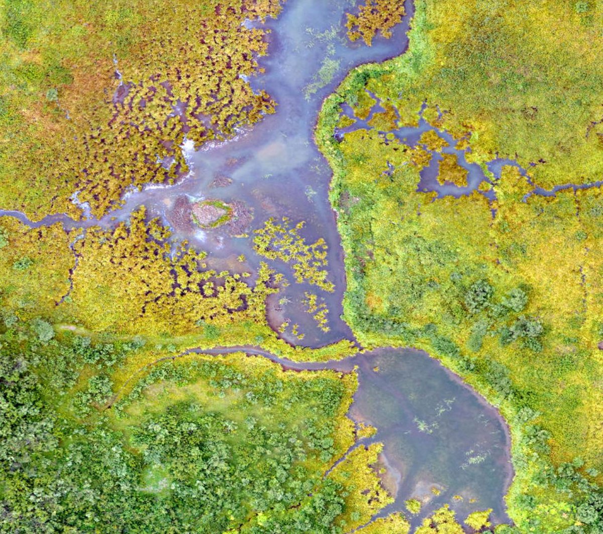 Interested in #wetlands?  Here's a nice explanation of what they are and why they're important: 

➡️ow.ly/8Rnl50J377Q   

<a href="/USGSWetlands/">USGSWetlands</a>  <a href="/USGS_UAS/">USGS National Uncrewed Systems Office (NUSO)</a> #AmericanWetlandsMonth

Image: Natural color drone image of a high-altitude wetland in the Rocky Mountains of Colorado.