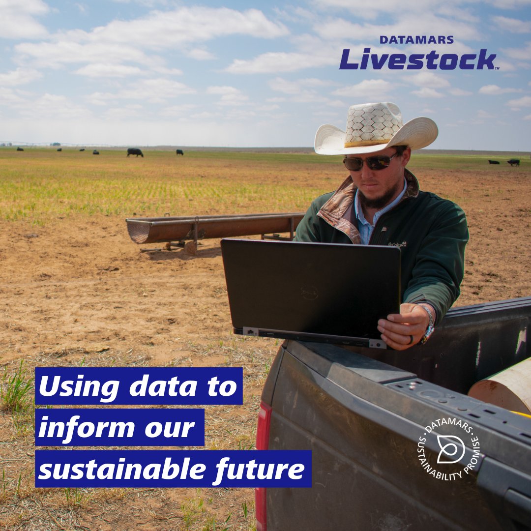 We support farmers and ranchers in building smart, sustainable farms through data-driven insights and efficient resource management. #DatamarsLivestock #LivestockManagement #Sustainability