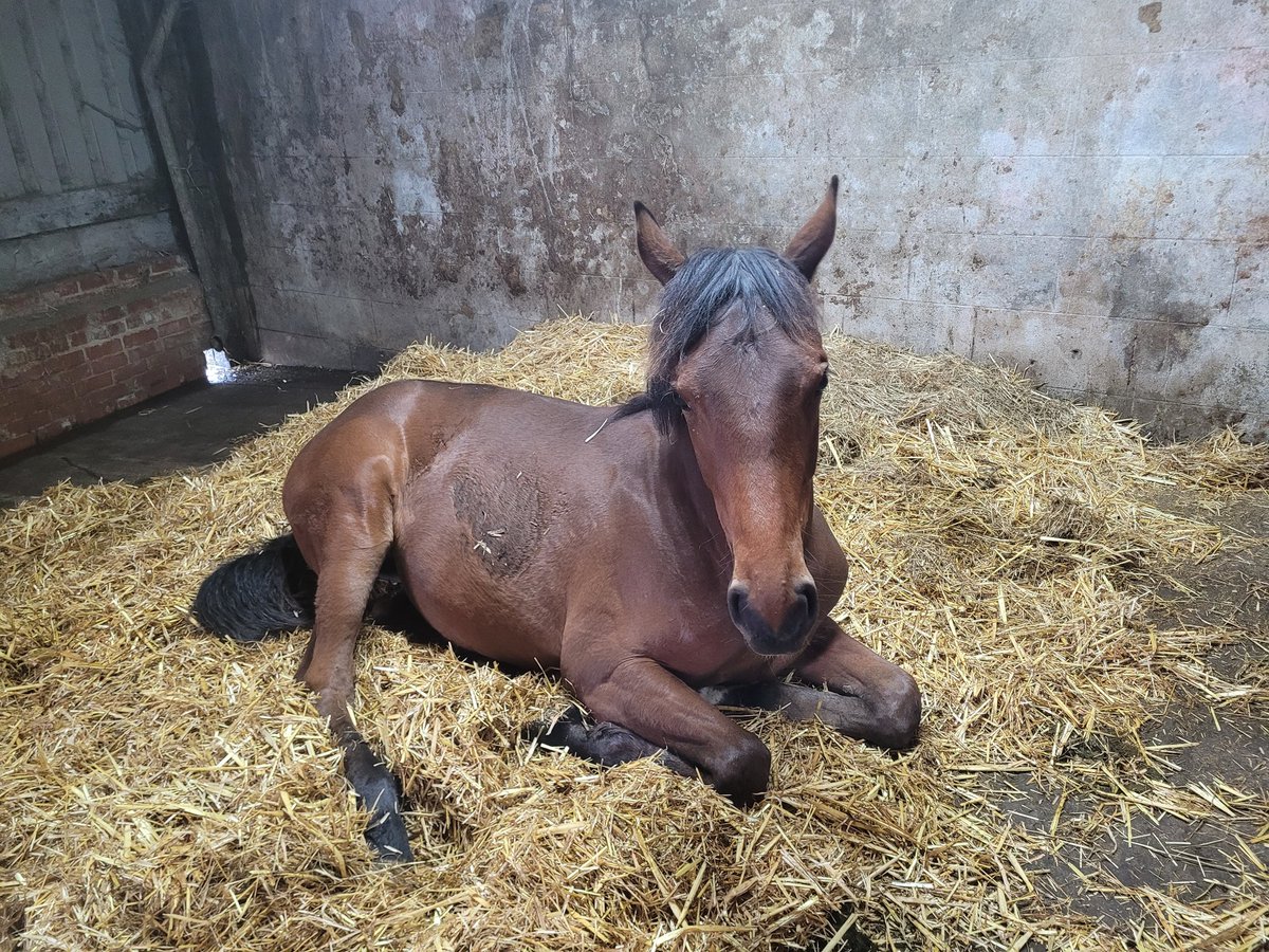 Helen Yeulet tweet media