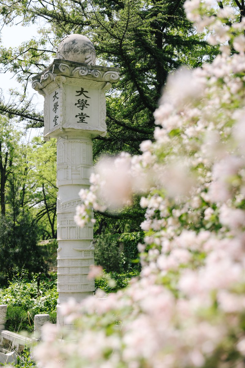 Peking University tweet media