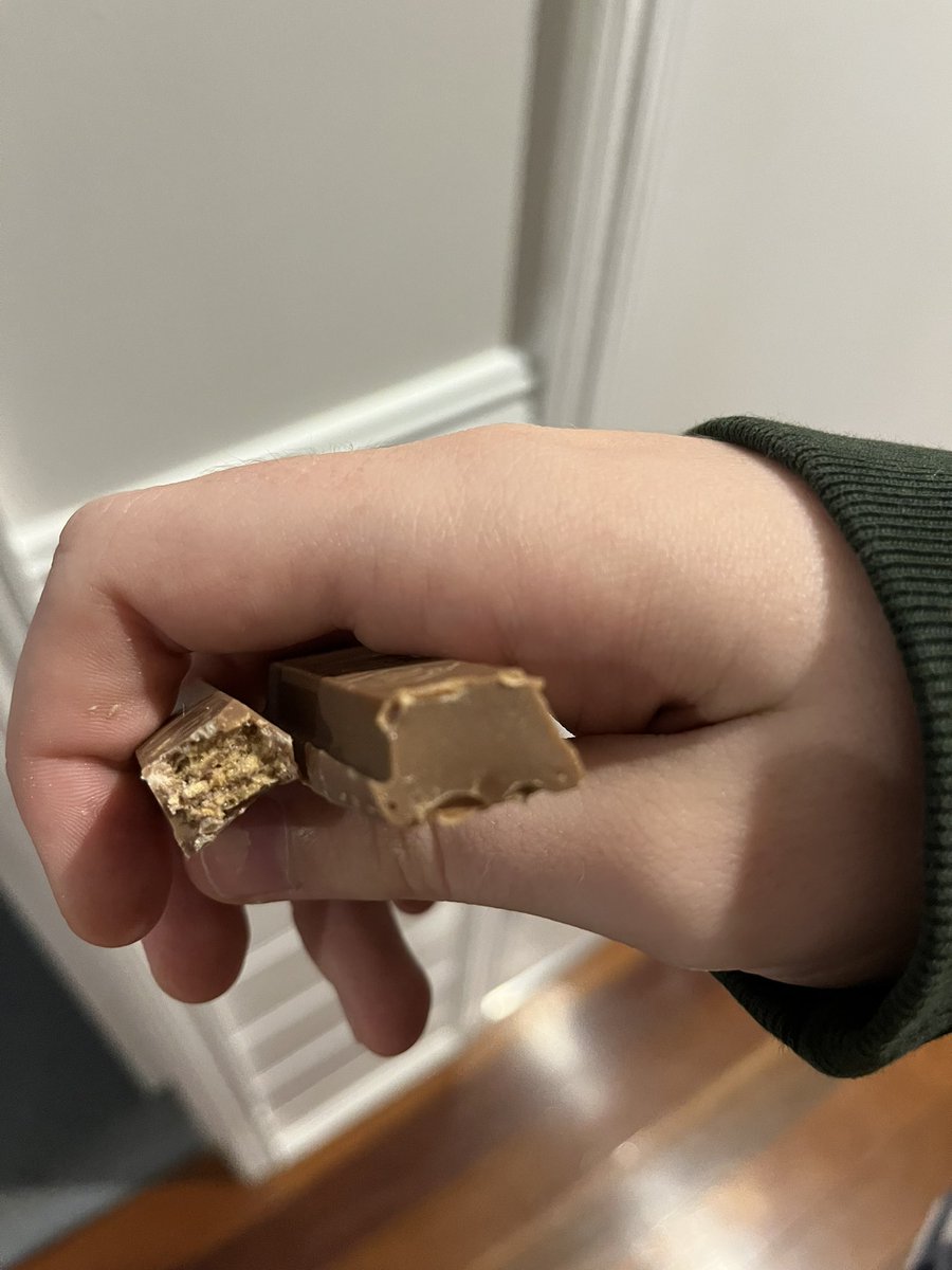 evie ❀ ✿ ❀ tweet media