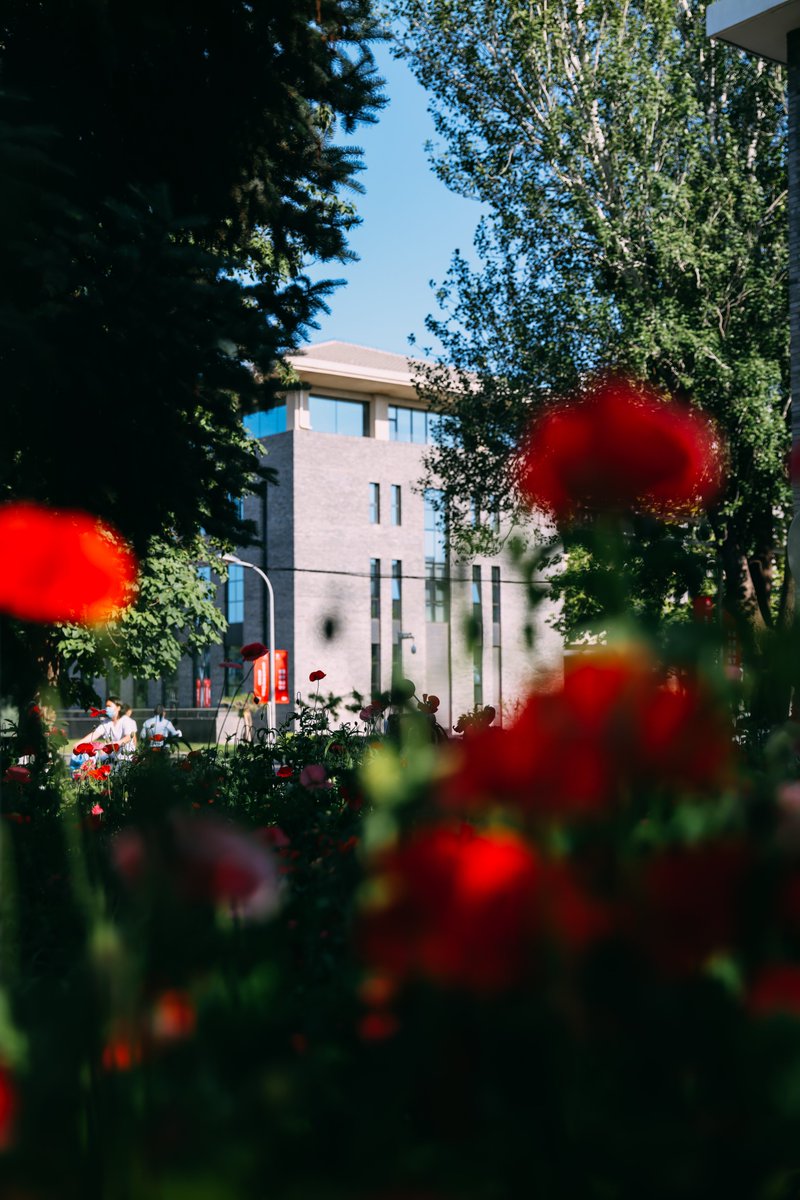 Peking University tweet media