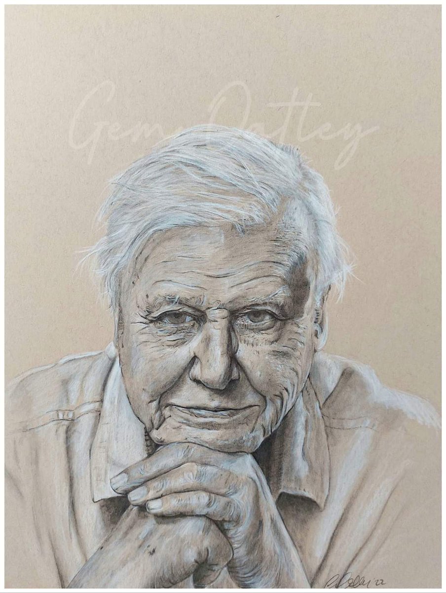 Gem Oatley (wildlife artist) tweet media