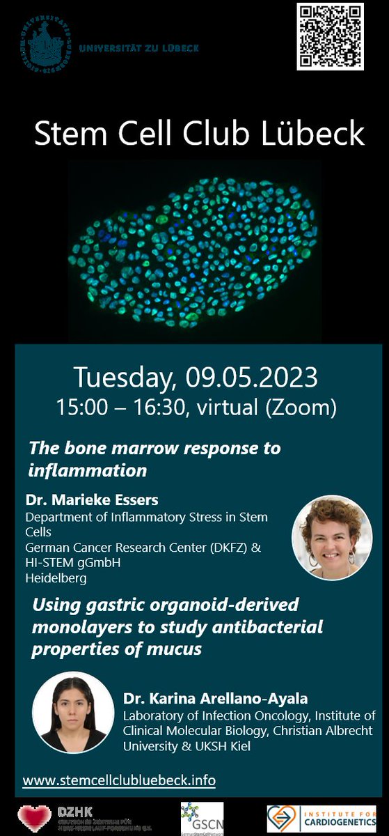 Join us tomorrow at 3 pm for exciting stem cell science featuring @hi_stem_lab & Karina Arellano-Ayala for the stem cell club Lübeck.
@Cardiogenetics @gscn_office @UniLuebeck @dzhk_germany #stemcells #organoids
