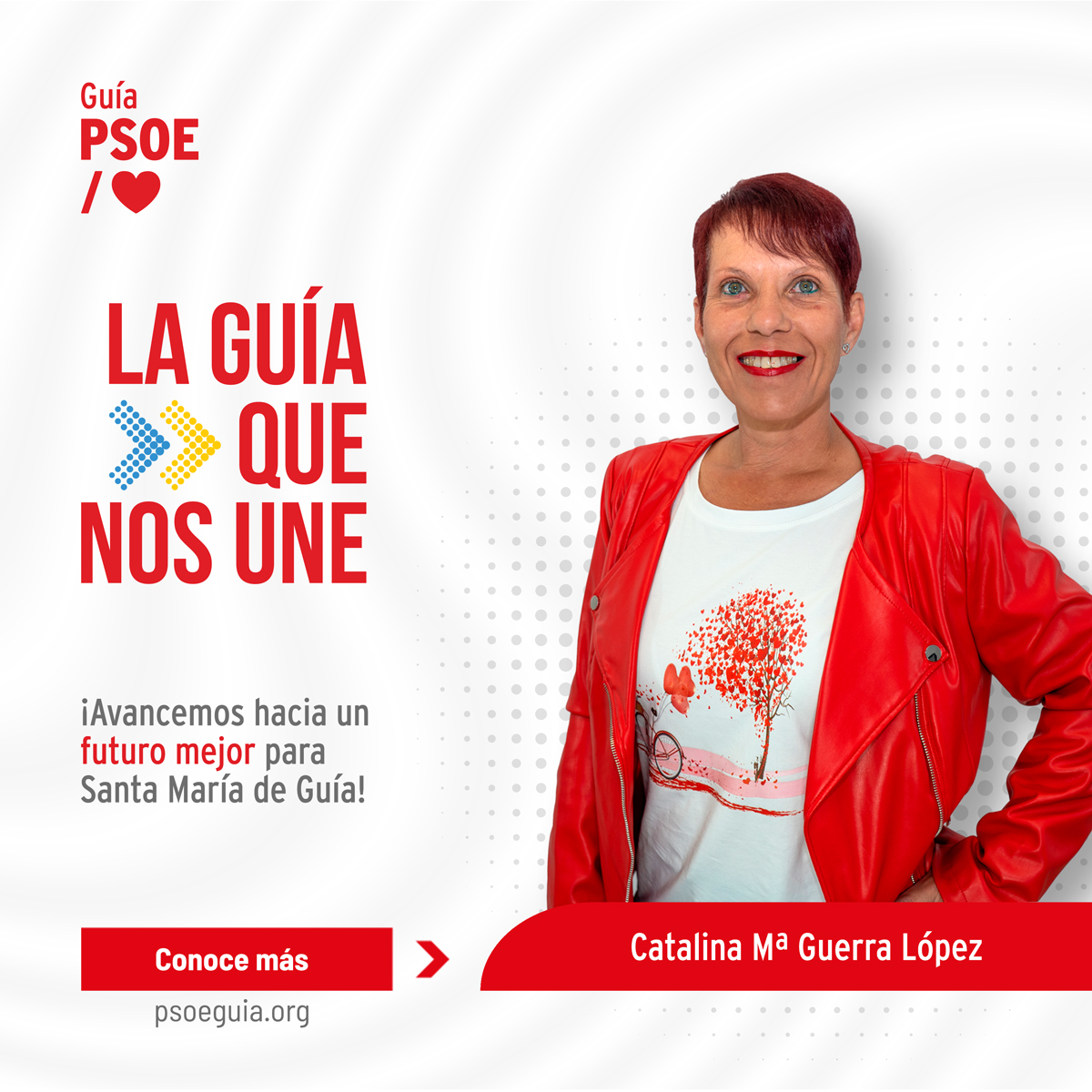 PSOE Guía tweet media