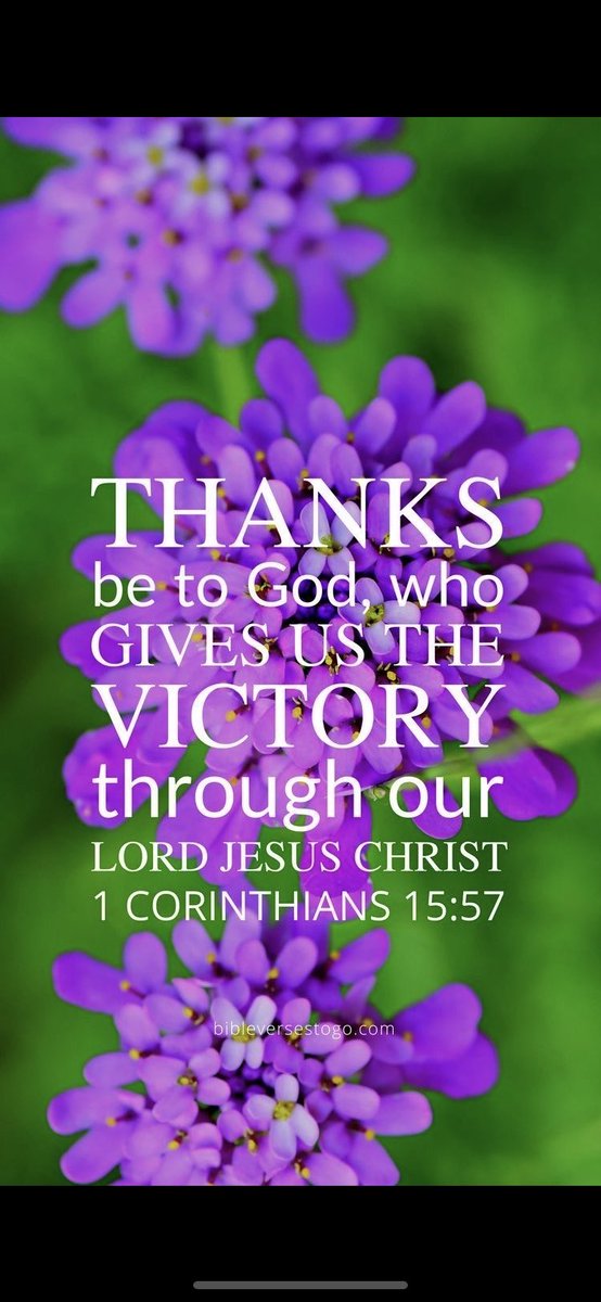 MartiReyna2's tweet photo. 🕊 “But thanks be to God, which giveth us the victory through our Lord Jesus Christ.” 🕊 

1 Corinthians 15:57 KJV https://t.co/FvwtmTNfoc