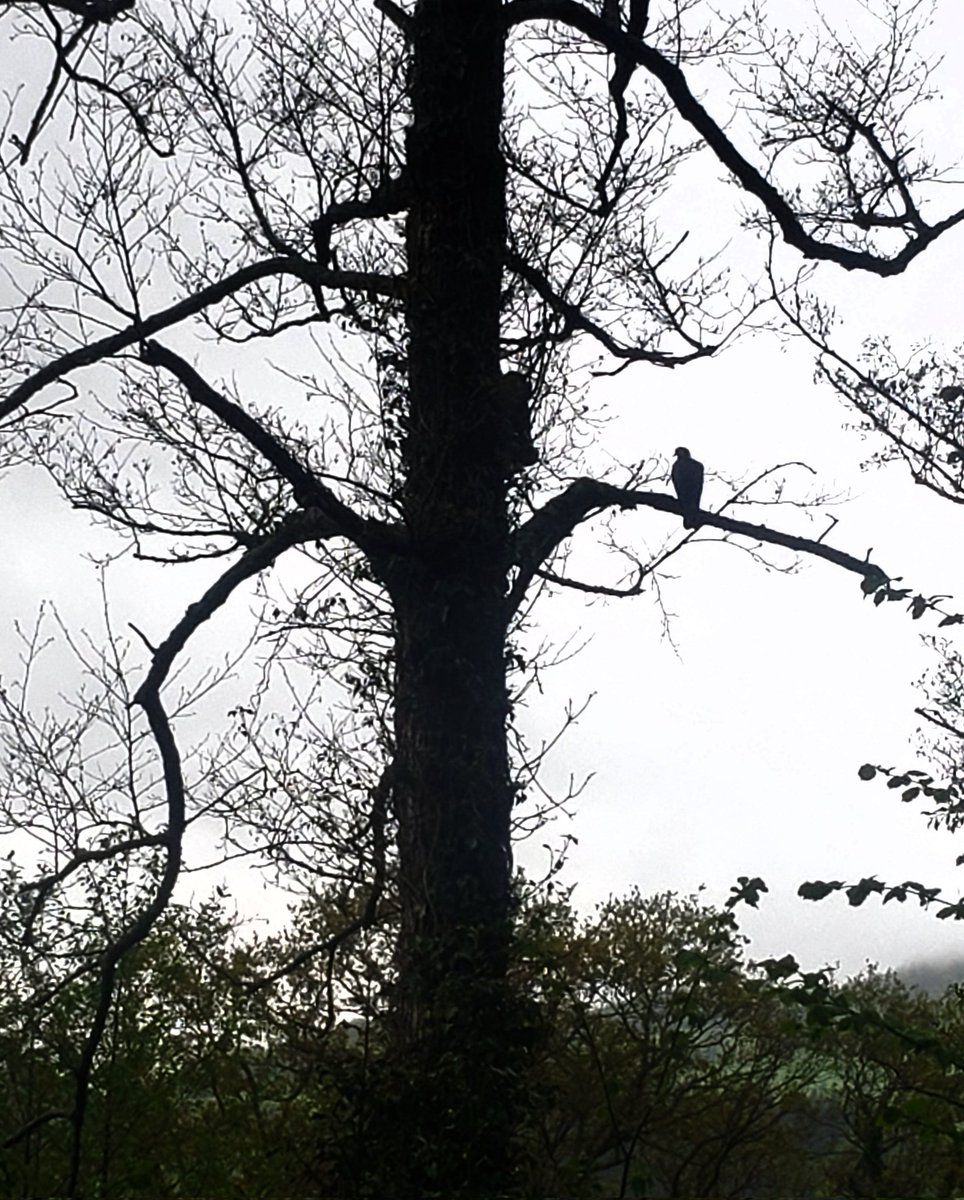 JaneImaginari's tweet photo. I like solitude. I like a quiet life. https://t.co/gXUBKRHIPC