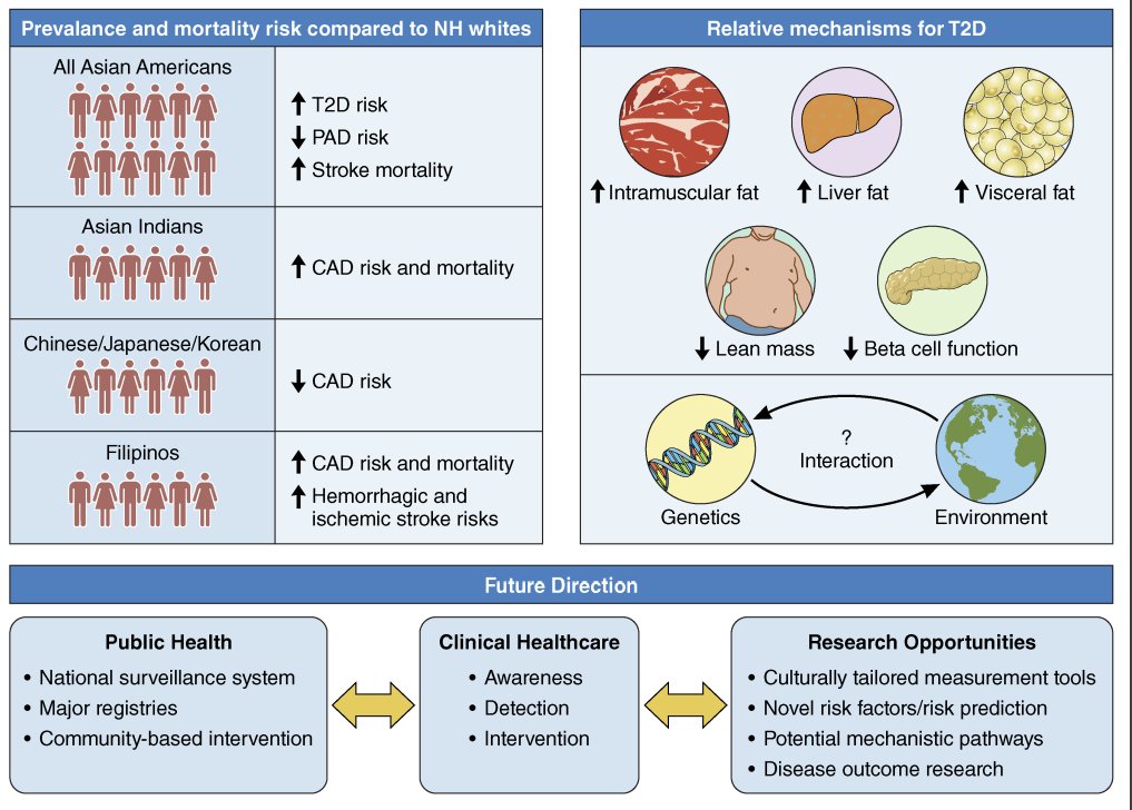 Examining Asian American subgroups separately is crucial to understanding different mechanisms that contribute to T2D & ASCVD risks. The new scientific statement: spr.ly/6014OZ7Vq @CircAHA @kwancardio @SallySWong @alka_kanaya @HeartDocSadiya @SvatiShah @FFR81 @hayman_ll