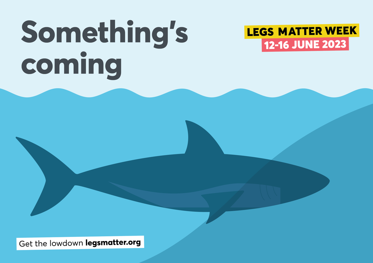 LegsMatter tweet media