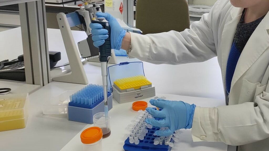 iDescubre_'s tweet photo. @GemaPereira5: "Utilizamos esta sustancia porque se ha demostrado que puede regular la disponibilidad de ciertos compuestos en el organismo, como el colesterol y la glucosa, y hemos comprobado que afecta a los compuestos fenólicos o antioxidantes de la naranja". #CienciaDirecta https://t.co/blm3tIhXZm