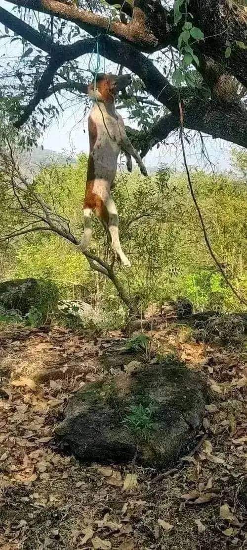 AcharyaRagnar's tweet photo. निशब्द 💔 https://t.co/Dsijm3ruNV