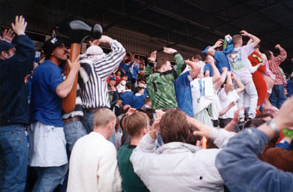 Bluebirds Past tweet media