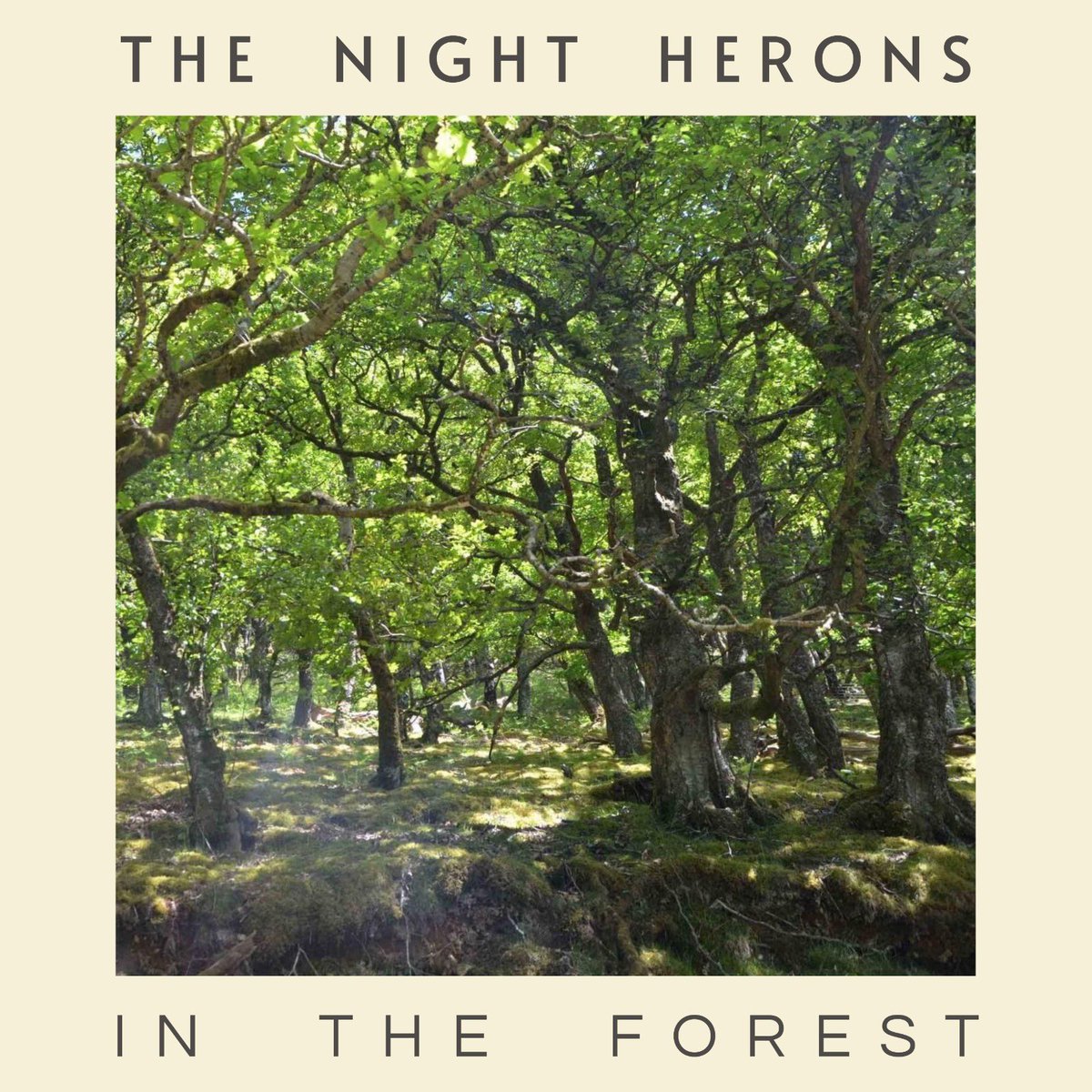 thenightherons's tweet photo. https://t.co/LoS1qRPq3v

Hey, we know there's some other stuff going on this weekend, but we've released a single! It's on Bandcamp - with other formats to follow. This is from our forthcoming EP, Here Comes The River - which we might have mentioned. #newmusic #NewRelease https://t.co/d9zs2MhpWP