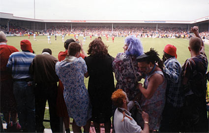 Bluebirds Past tweet media