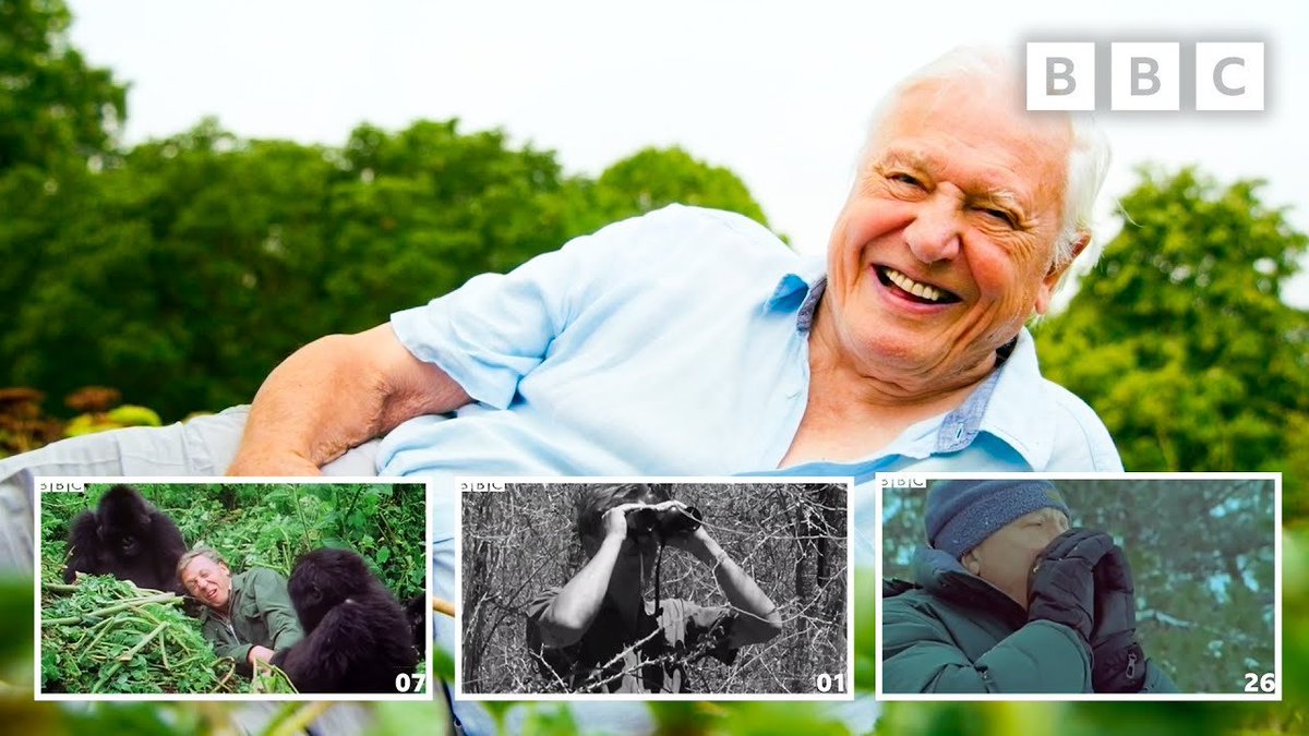 BoomersDaily55's tweet photo. BBC TRIBUTES: SIR DAVID ATTENBOROUGH TURNS 97 TODAY
@BBC May 8, 2023: #SirDavidAttenborough was born in London on May 8, 1926. His broadcasting career spans over 50 years. It began in 1952 when he joined BBC Television as a trainee. #BBCNature #NatureFilms #VideoTributes https://t.co/dYwVVMbaHv