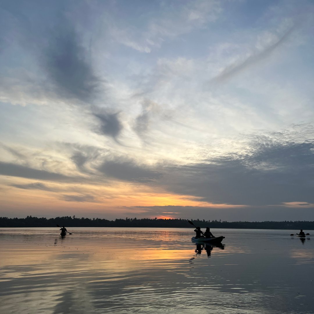 thereverielife's tweet photo. Enjoy scenic views of the Rekawa Lagoon and surrounding mangroves as you paddle along the the lagoon in hi-spec kayaks. A vast number of bird species can also be sighted during this experience &amp; make it an ideal one for families or groups.

#KayaamHouse #TheReverieLife #Kayaking https://t.co/fDeM05tUwL