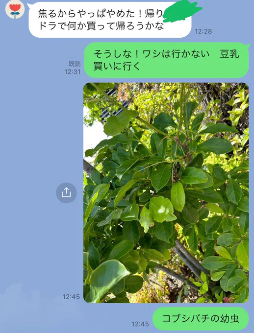 母上 トに゜つけれるんやハバチ無視されてる