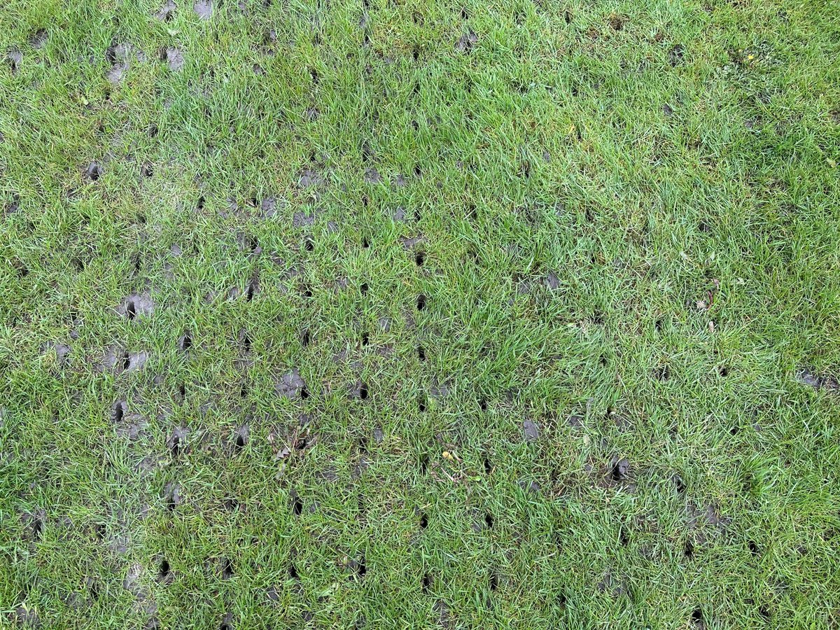 Cuttingedgegm tweet media