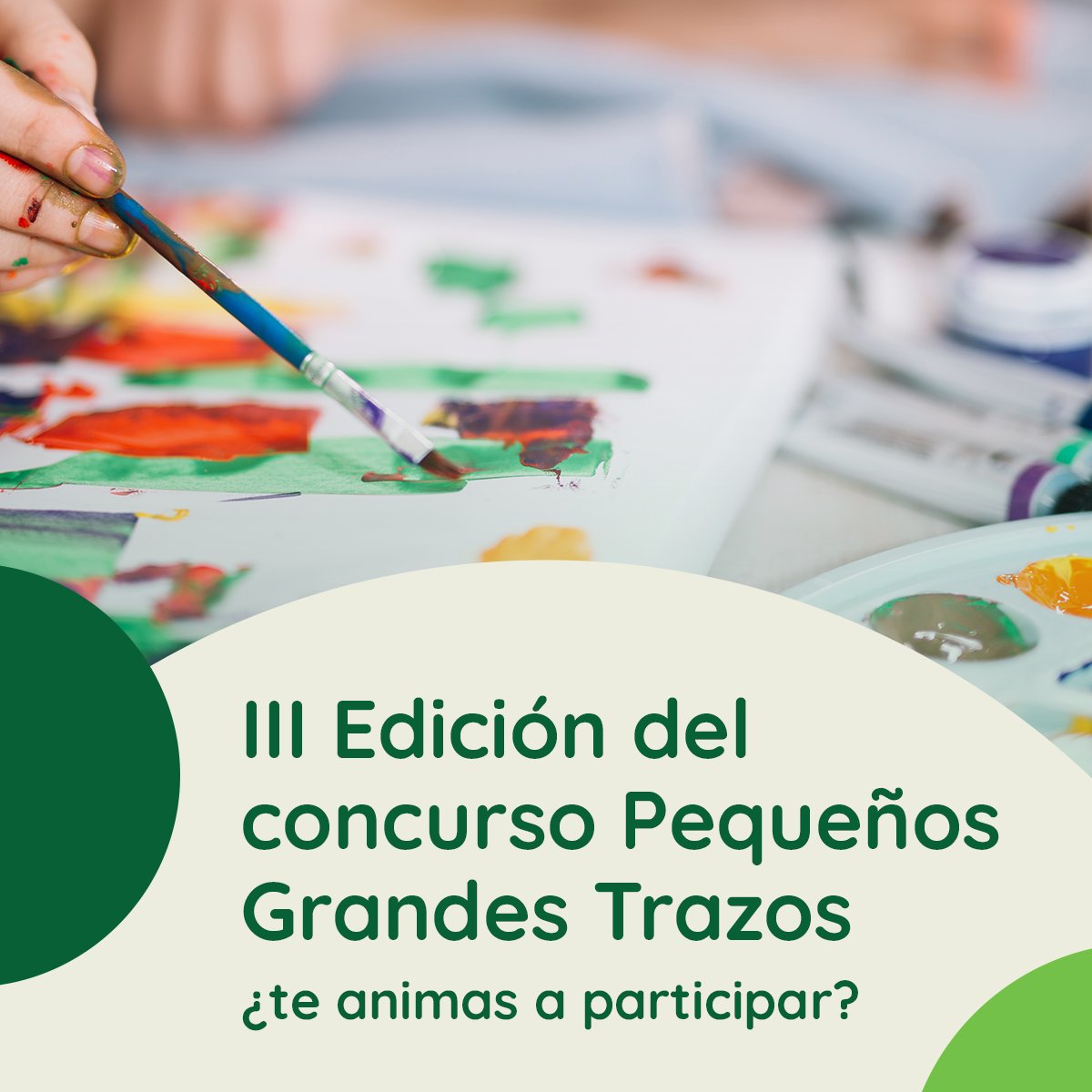 Asociación Síndrome de Phelan McDermid España tweet media