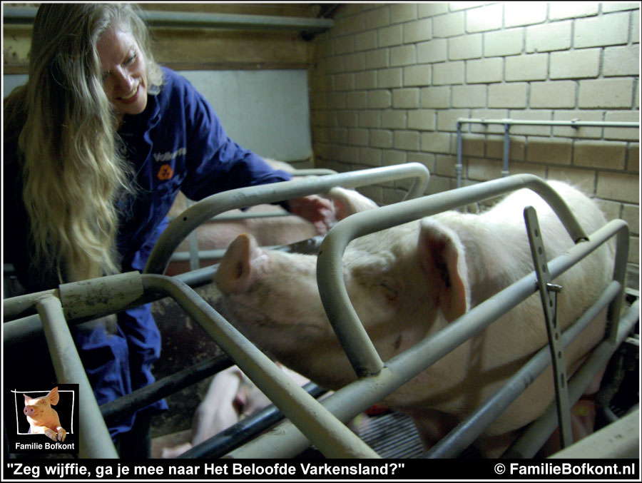 FamilieBofkont's tweet photo. MOEDERWEEK
La Mama

Komende zondag is het Moederdag.

Stichting Familie Bofkont maakt er meteen maar een Moederwéék van.

Wij zijn niet van de halve maatregelen.

doorlezen?
https://t.co/nMY2ncmflS

#varken #fokzeug #knakworst #moedervarken #moederdag https://t.co/yJuVa1aK09