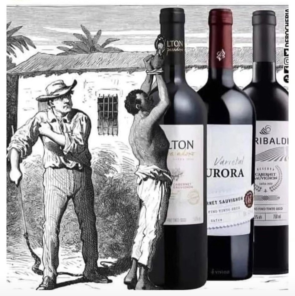 gicambrone's tweet photo. Friozinho chegando... não esqueça na hora de comprar o seu vinho. Não compre de marcas que ESCRAVIZA. https://t.co/2a3Oh6OQ9O