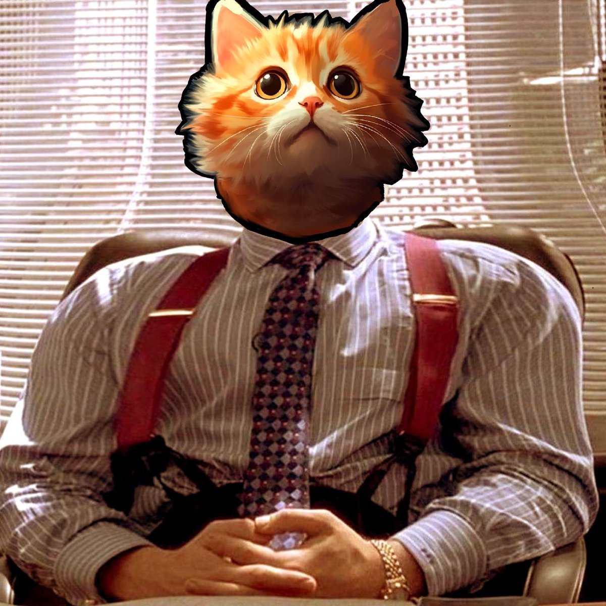 50 retweets for $MEOW presale to 10 winners!