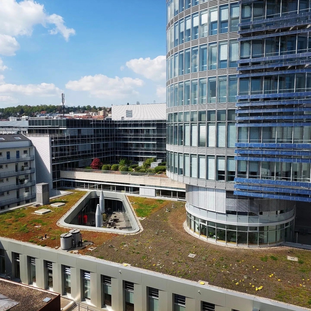 pforzheimgram's tweet photo. Alle Informationen unter dieser URL: https://t.co/WXxJHVyNXV #pforzheim #pforzheimgram #badenwürttemberg Ausgesucht von 
@ste7130 https://t.co/93oCN06q1o