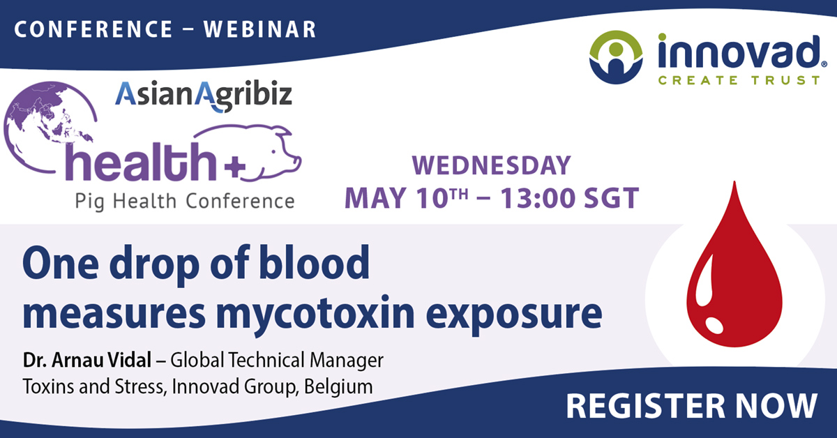 innovadgroup's tweet photo. LAST CALL: Tune in to Asian Agribiz' Pig Health Conference tomorrow at 13:00 SGT to learn more about the new avenue to measure the real exposure of #pigs to #mycotoxins with just one drop of blood. Register via #AsianAgribiz: https://t.co/vd4L1oLf7f #Biomarkers #Econference #PHQC https://t.co/B6IUMUBvsI