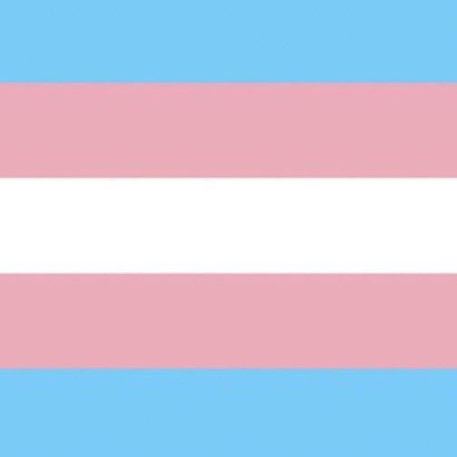 these characters are trans 🇵🇸🏳️⚧️ tweet media