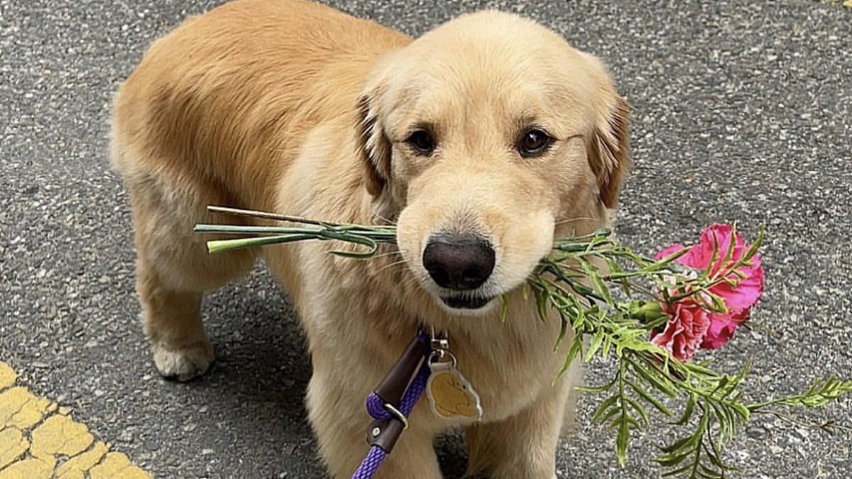 takemybear 🐶 tweet media