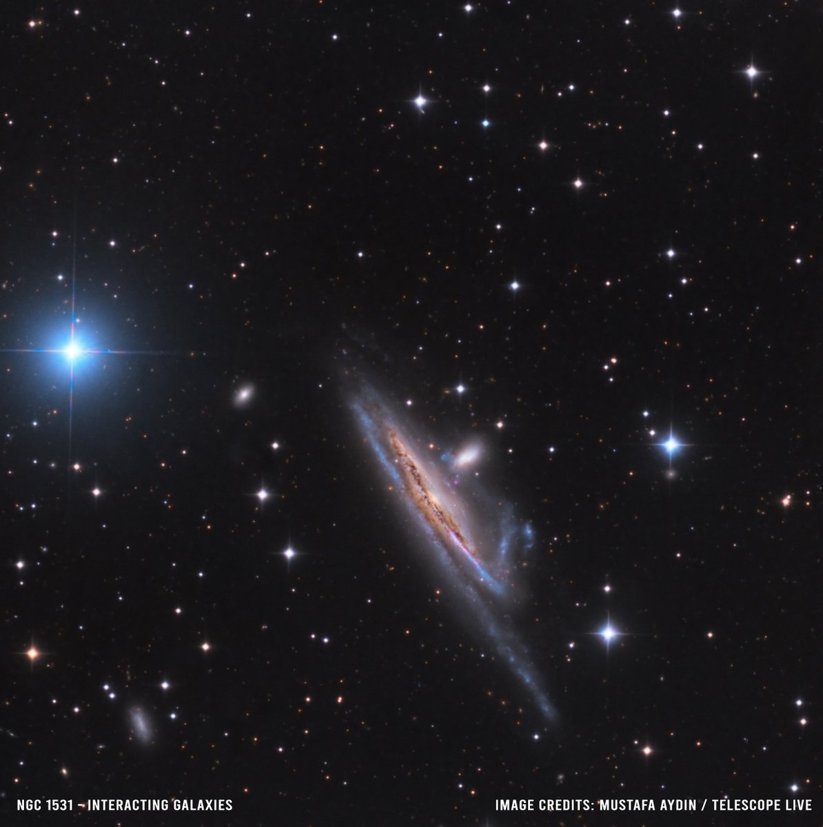 aydinmustafa.eth ✨ tweet media