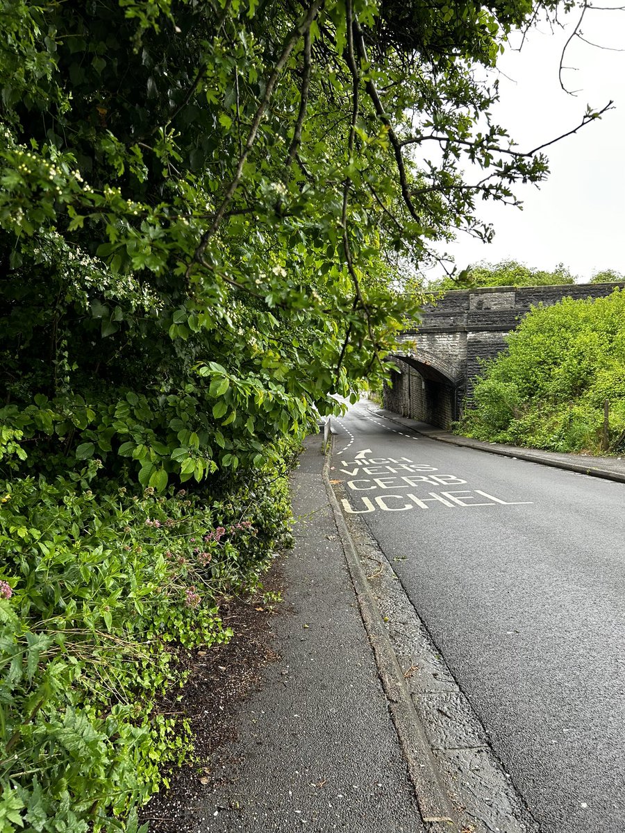 Little moors hill, Barry. could do with a trim! Pavement inaccessible! <a href="/VOGCouncil/">Vale Council 🏴󠁧󠁢󠁷󠁬󠁳󠁿🇺🇦</a>