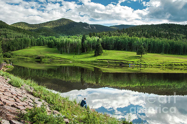 John  Bartelt tweet media