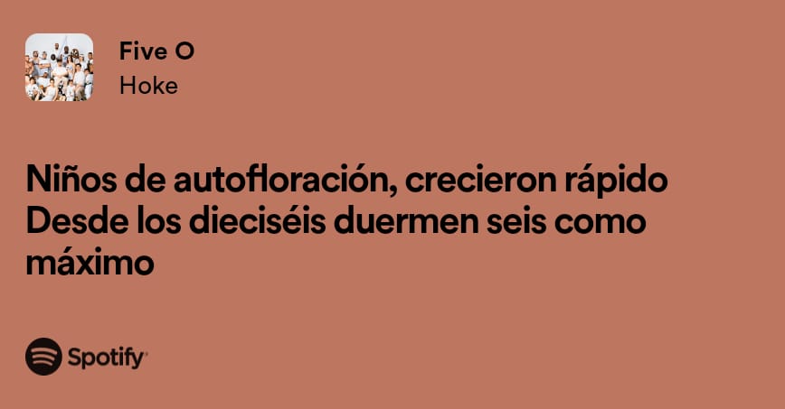 Vise👾 tweet media