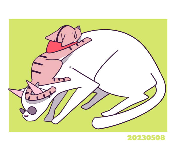 五悠「猫五悠!」|ニボシのイラスト